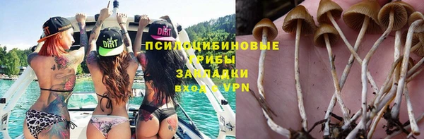 гашик Абинск