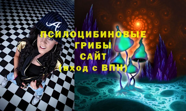 СК Абдулино