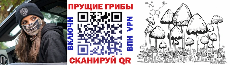 Псилоцибиновые грибы GOLDEN TEACHER где продают наркотики Алдан